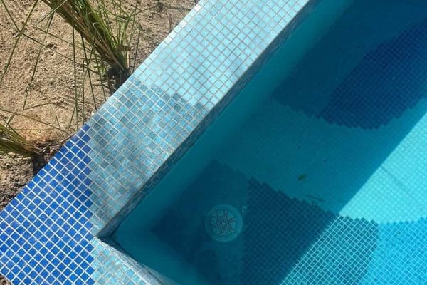 Belize-pool-custom-mosaic-art-close-up-2